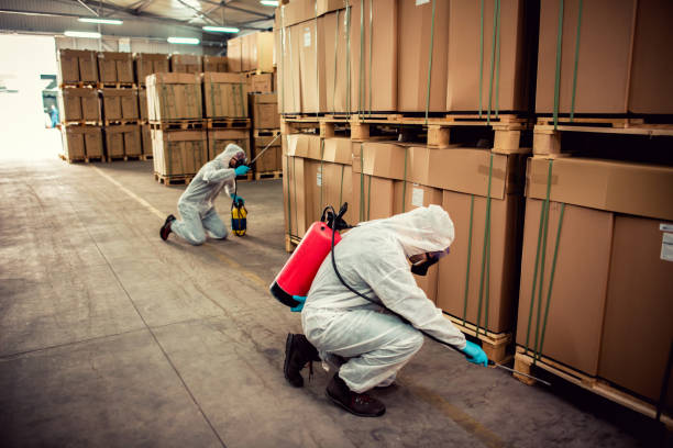 Pest Control for Restaurants in North Miami, FL