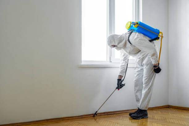 Best Residential Pest Control  in North Miami, FL