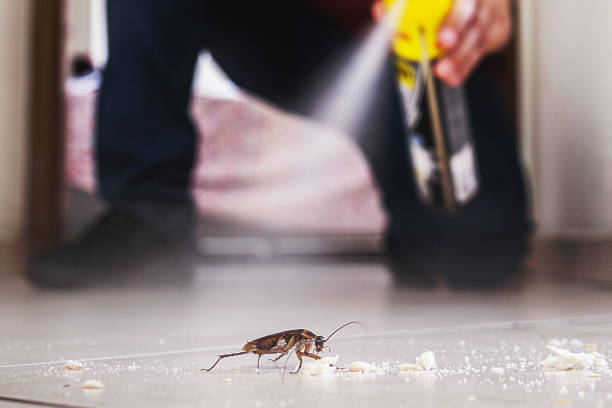 Pest Control for Restaurants in North Miami, FL