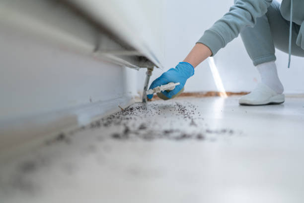 Best Cockroach Control Services  in North Miami, FL