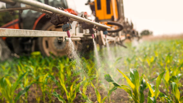 Best Commercial Pest Control Services  in North Miami, FL